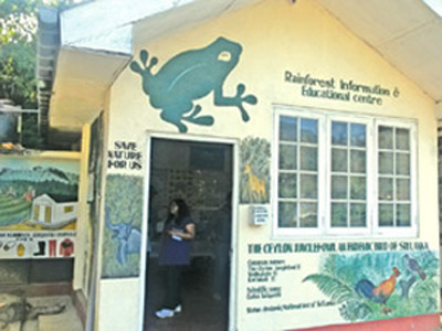 Rainforest Information and Educational Centre at Bearwell Estate