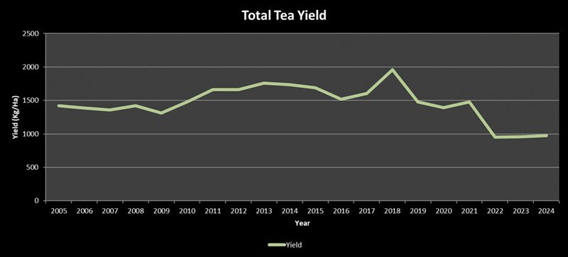 Staristics - Total Tea Yield Staristics - Total Tea Yield
